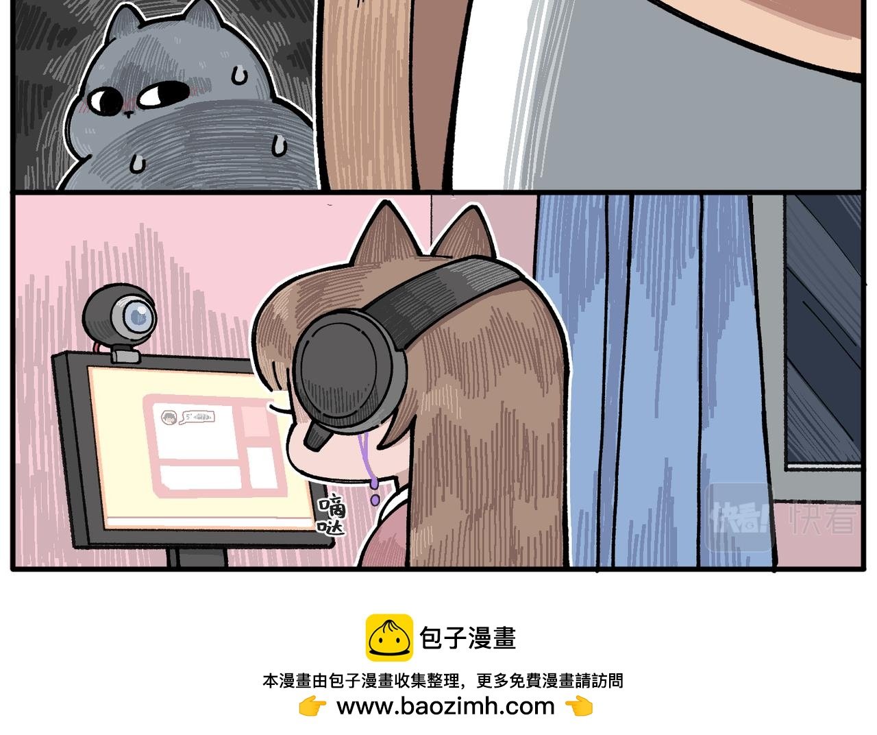第十一话 猫咪世界