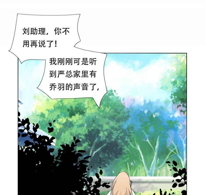 12-惊人的消息