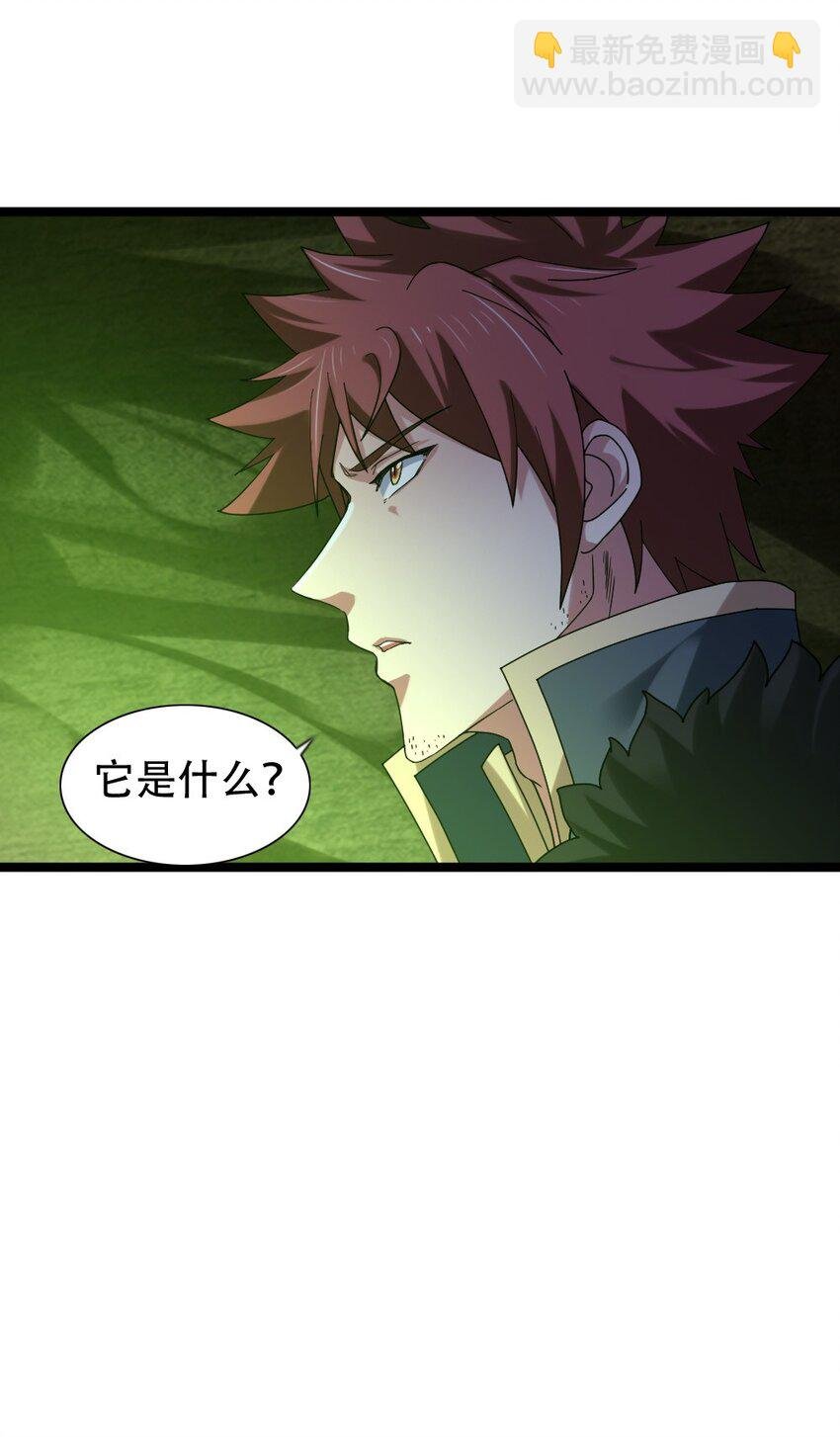 010 森林之主