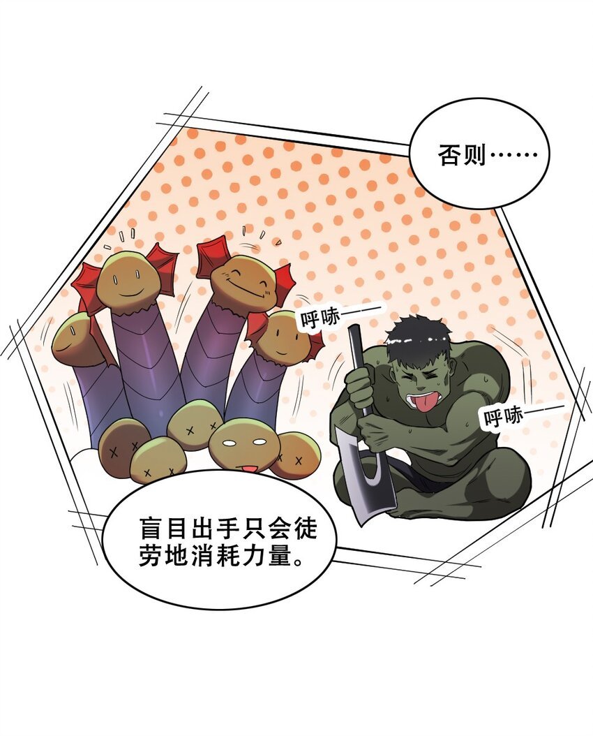 019 神圣决斗