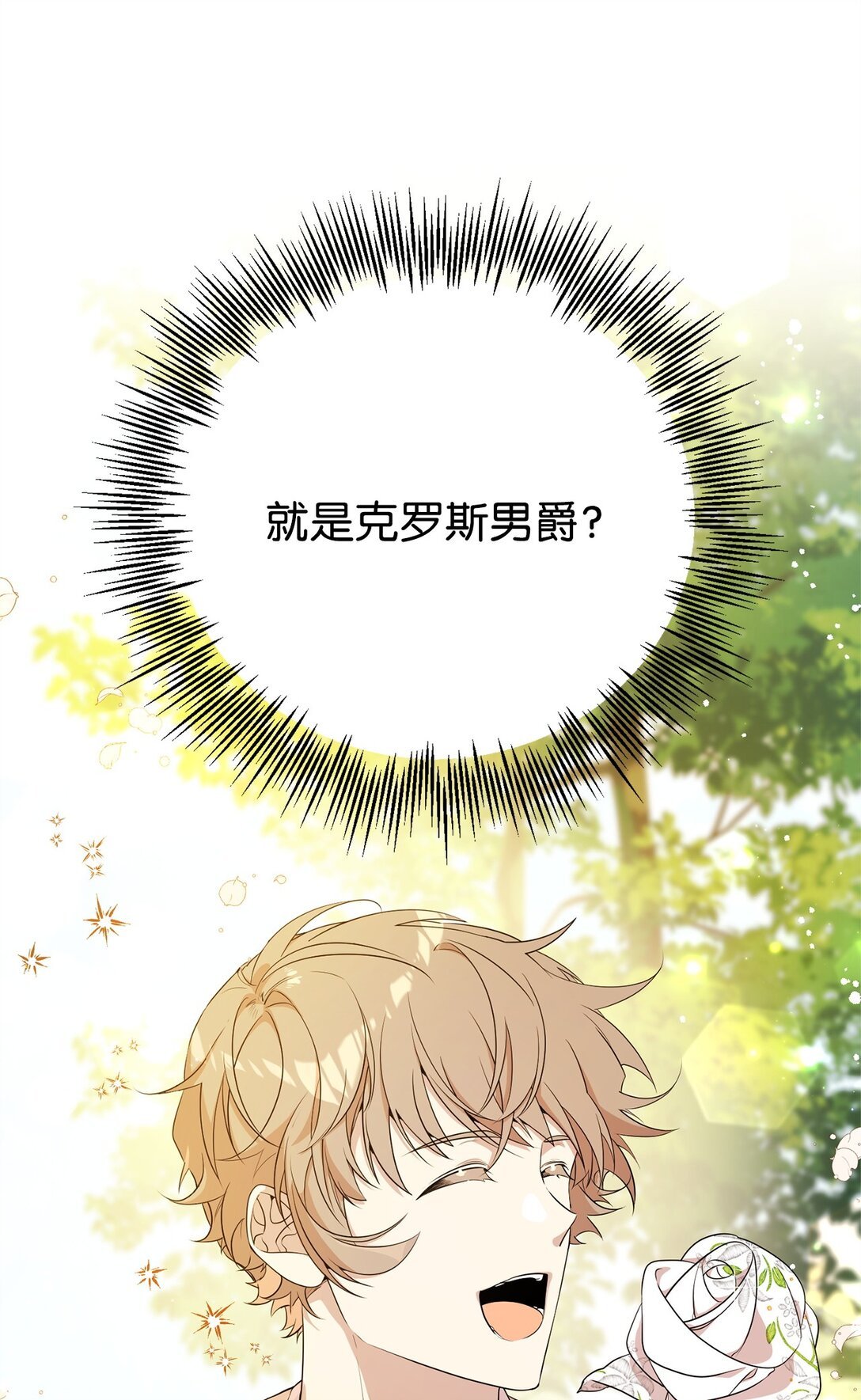 12 克罗斯
