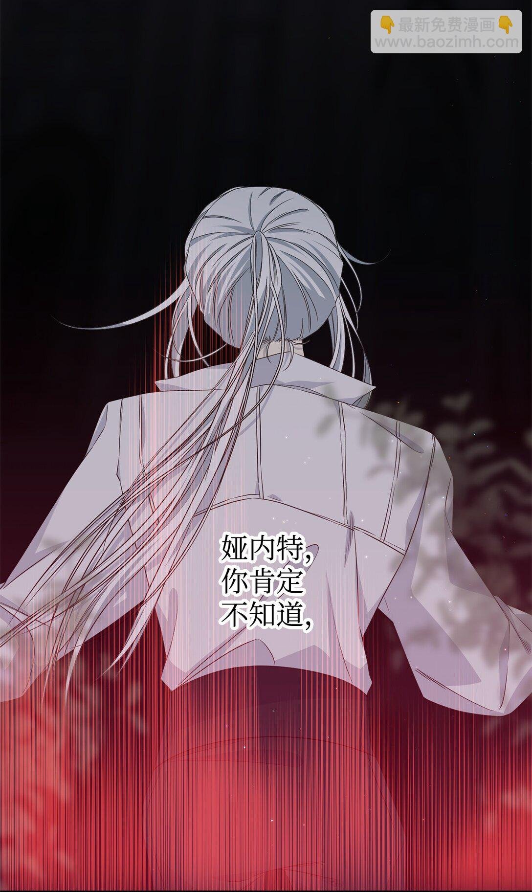 29 鹦鹉