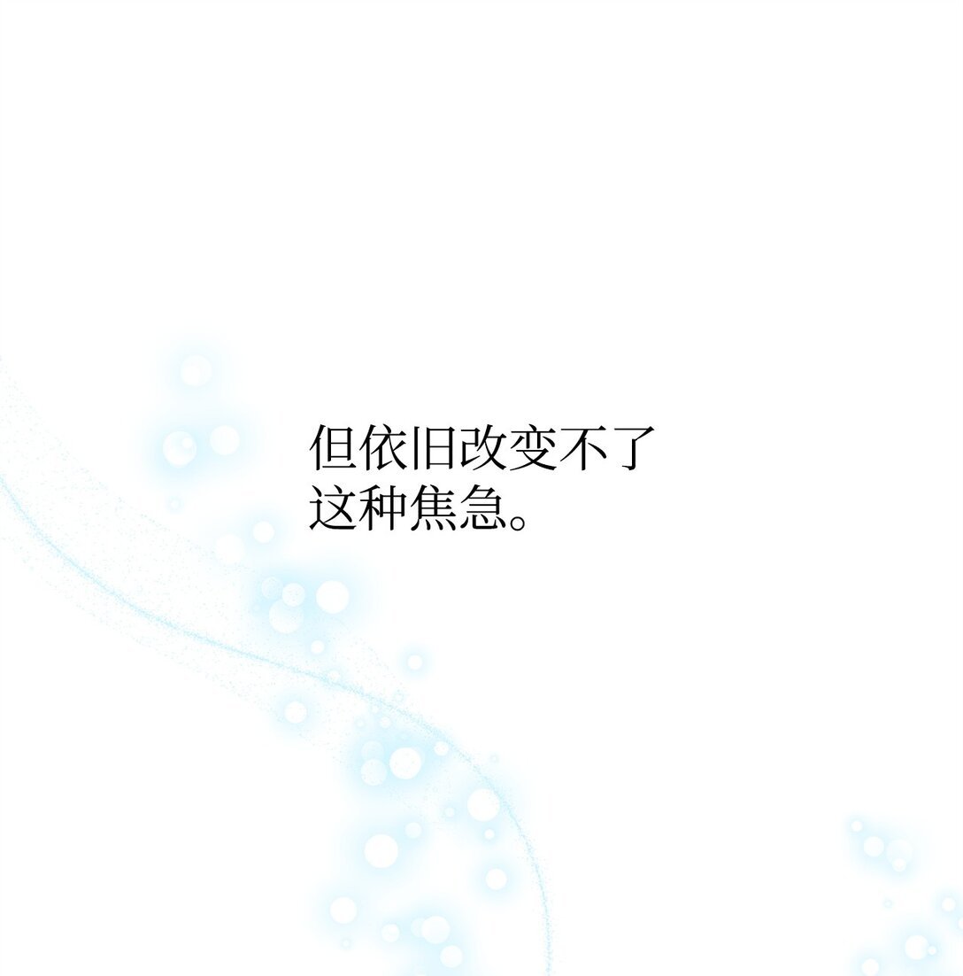 29 鹦鹉