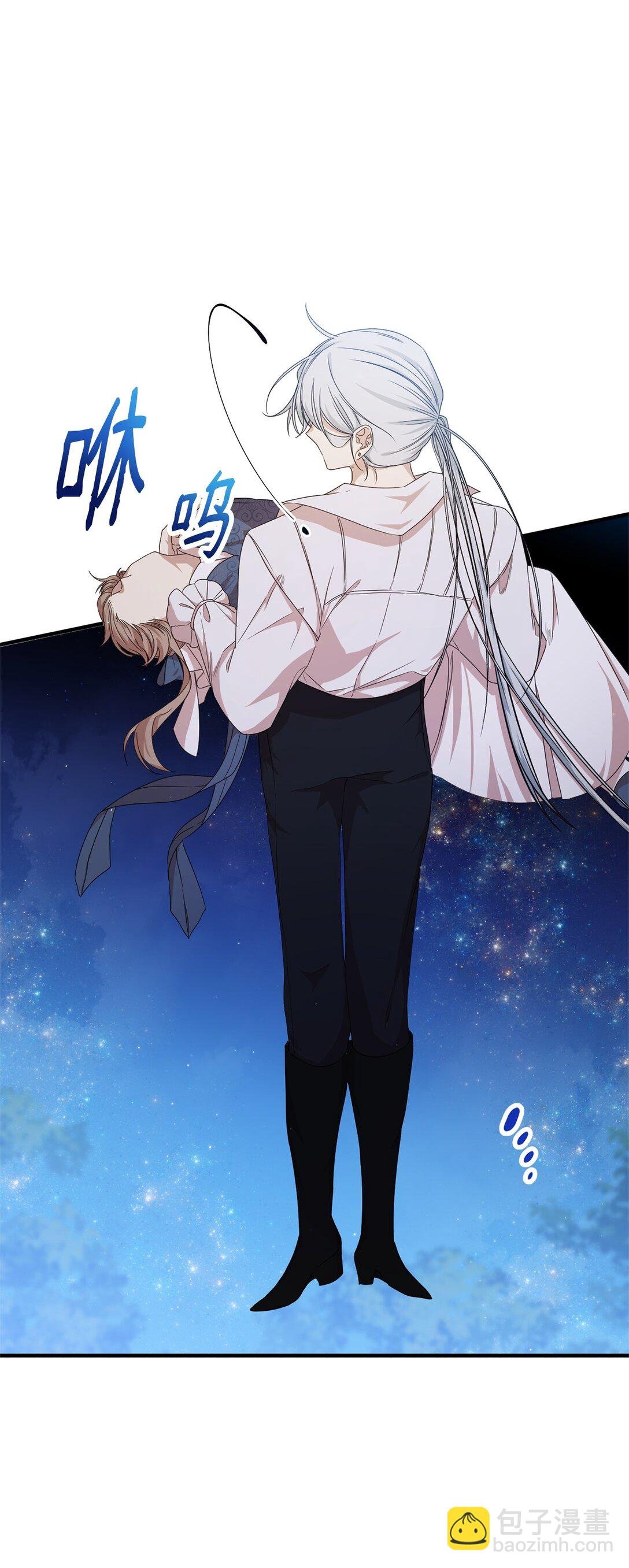 29 鹦鹉