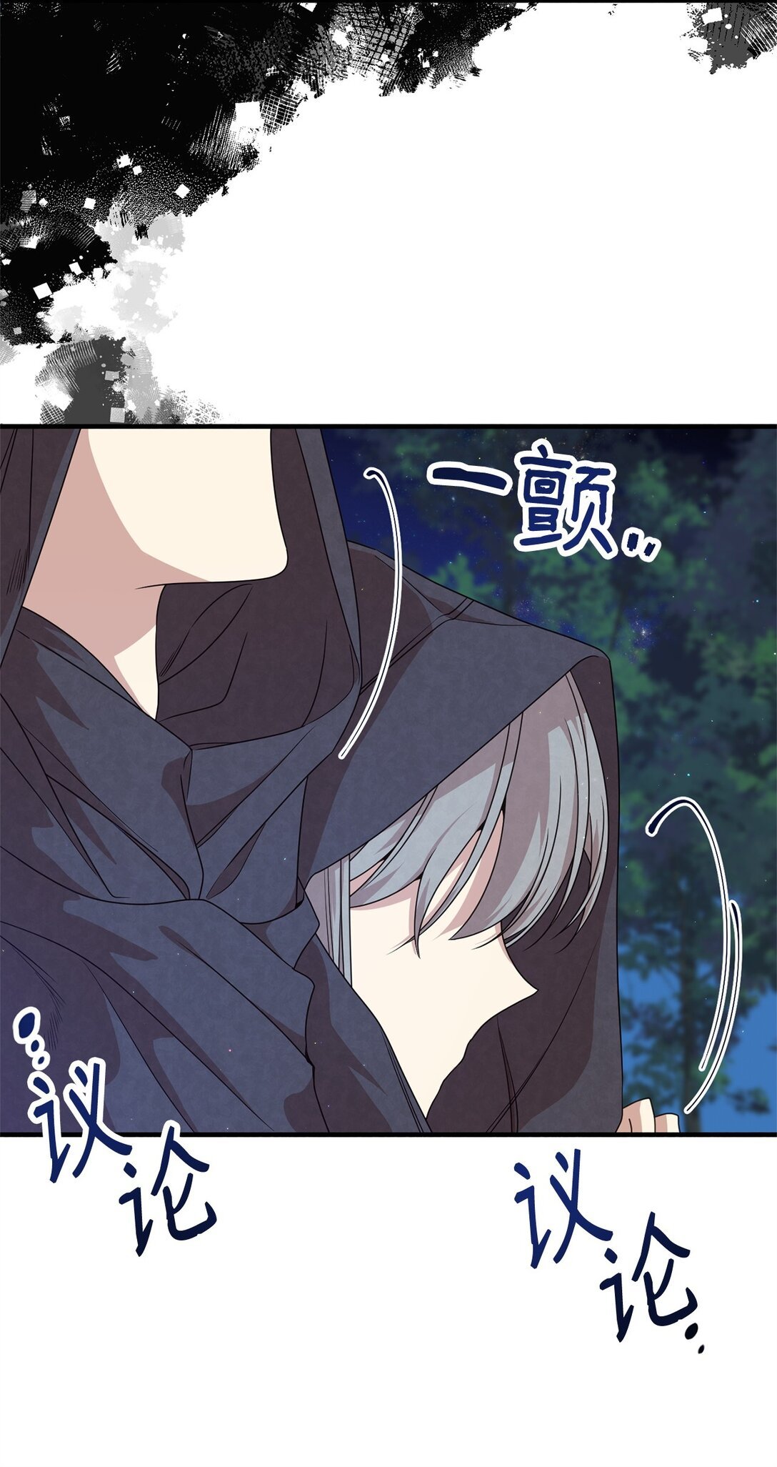 29 鹦鹉