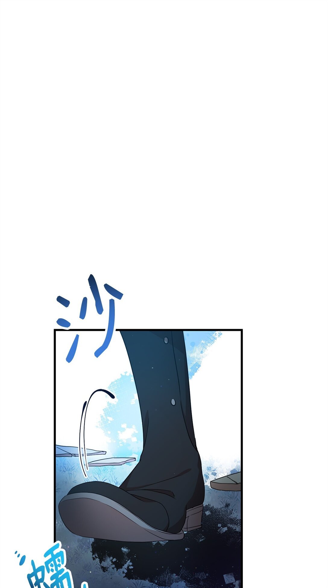29 鹦鹉