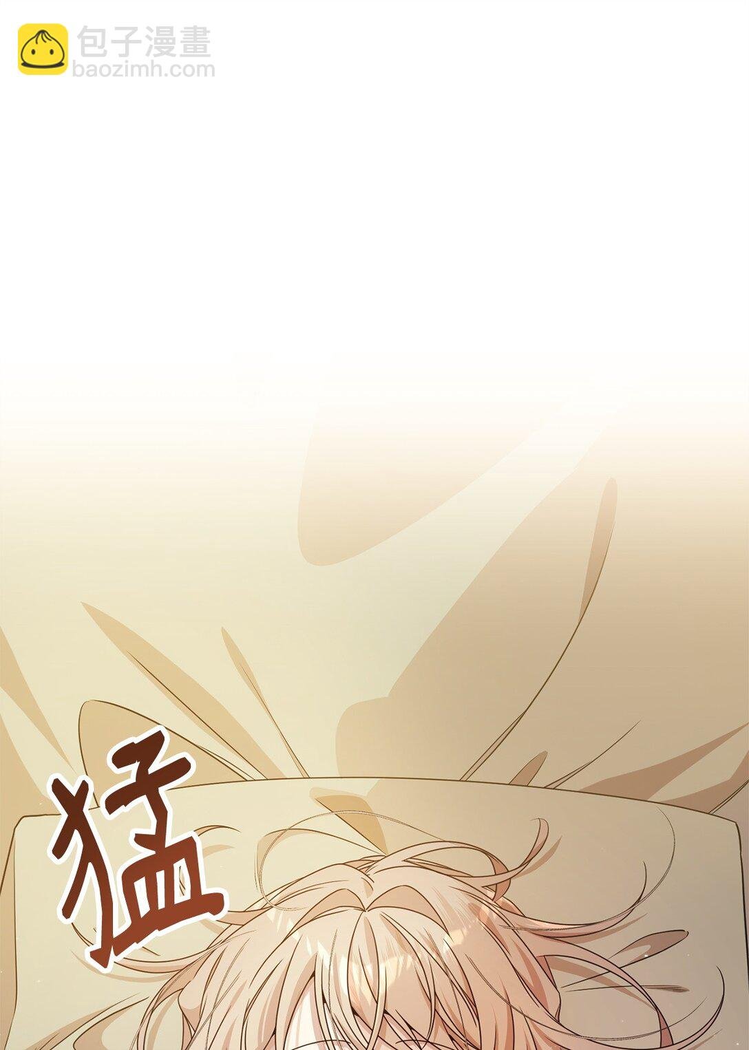 29 鹦鹉