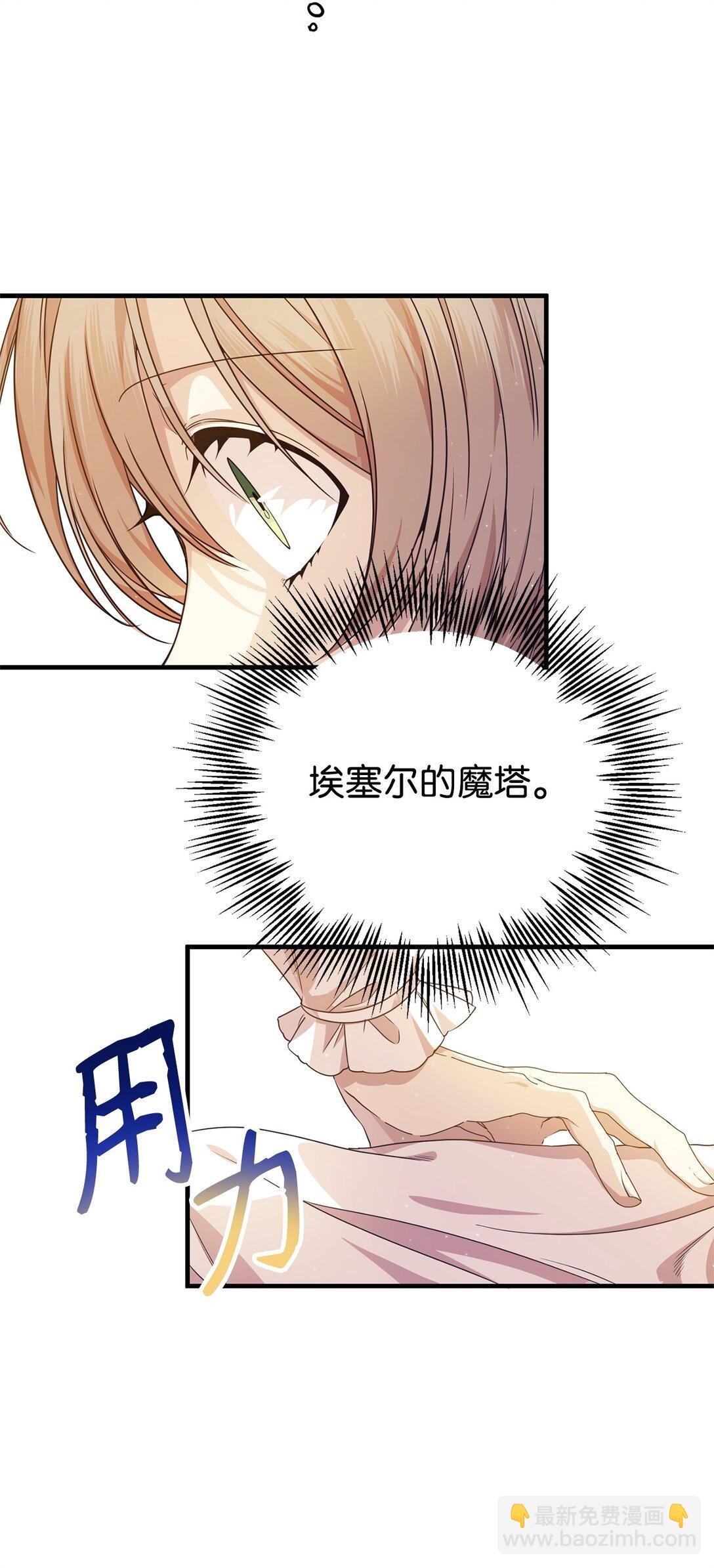 29 鹦鹉