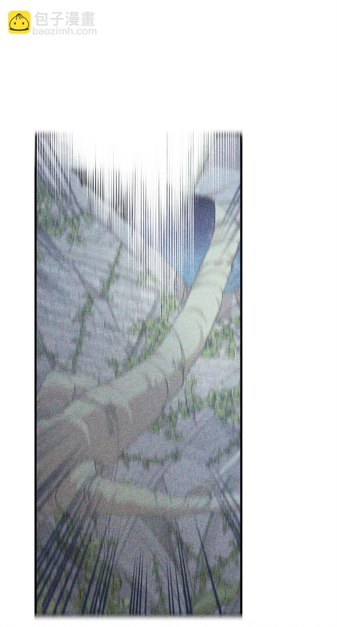 29 鹦鹉