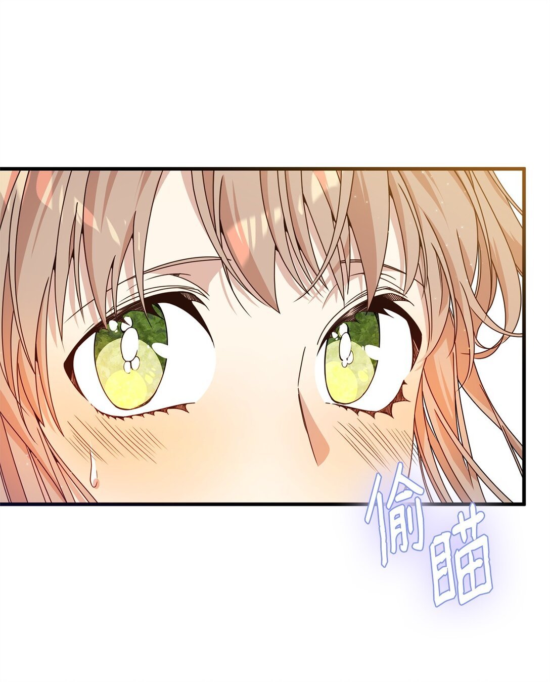 33 瞳孔