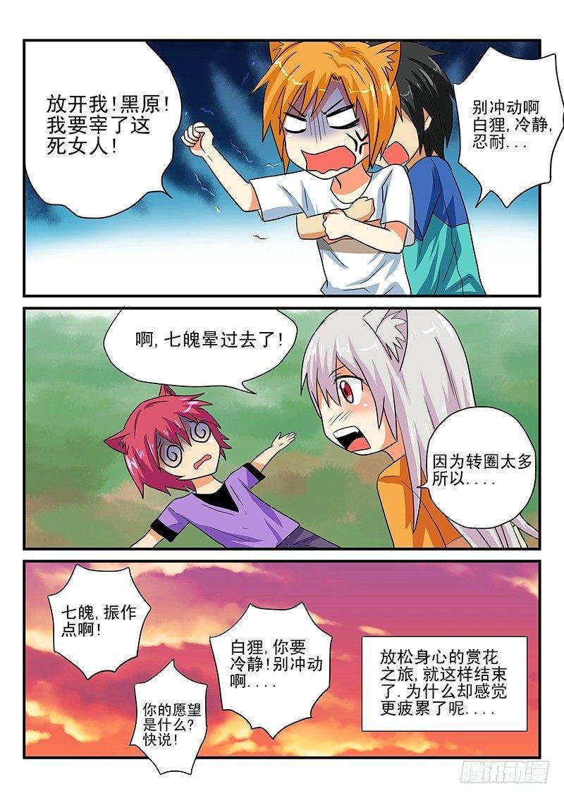 第12章 真的要许愿吗