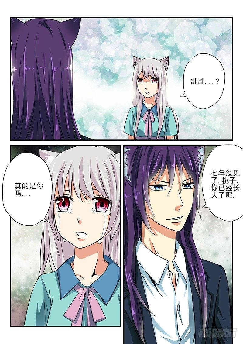 第14章 桃子的过去