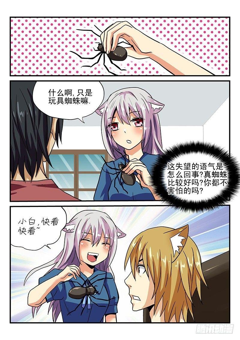 第23章 害怕的东西