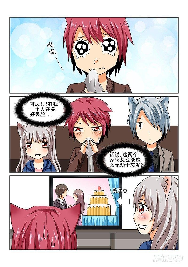第4章 囧囧的日常生活