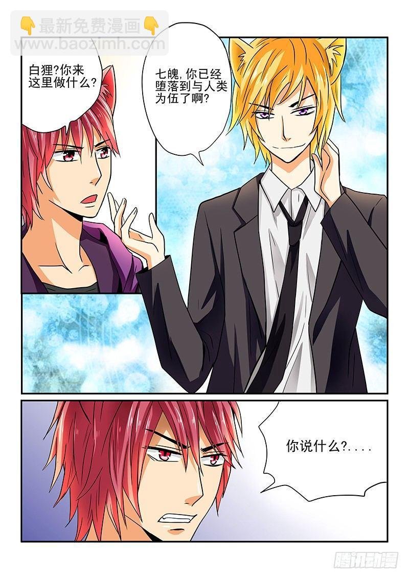 第5章 白狸登场
