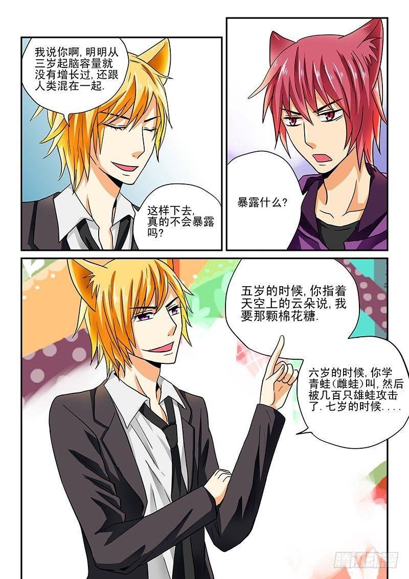 第5章 白狸登场