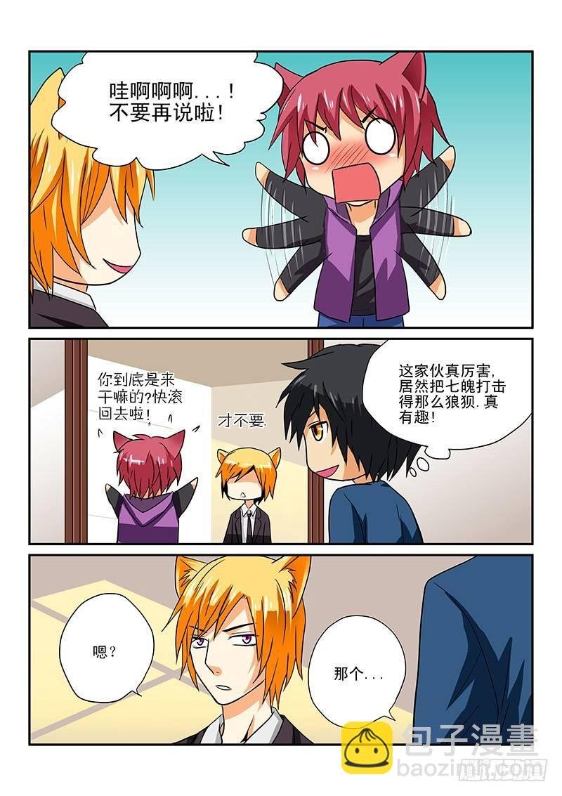 第5章 白狸登场