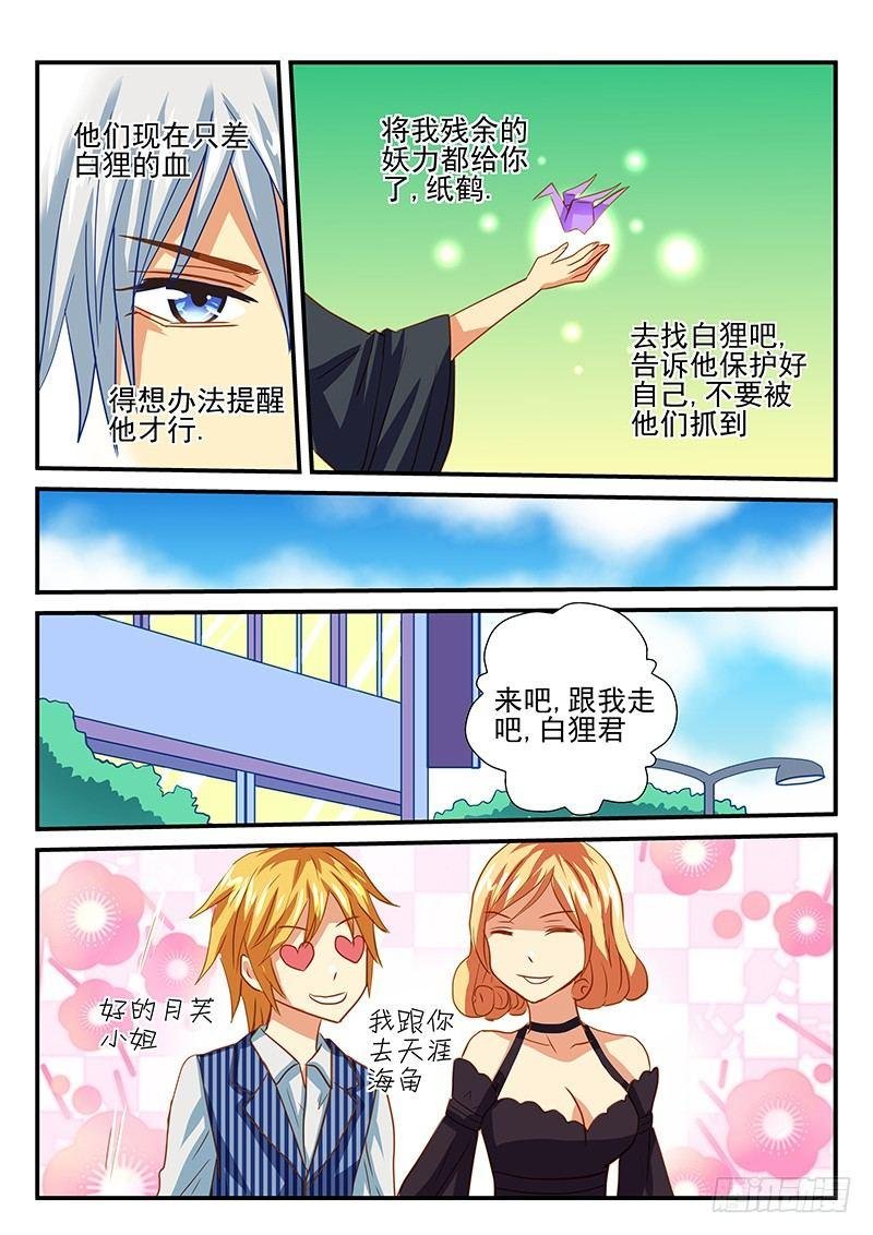 第52章 白狸的行动