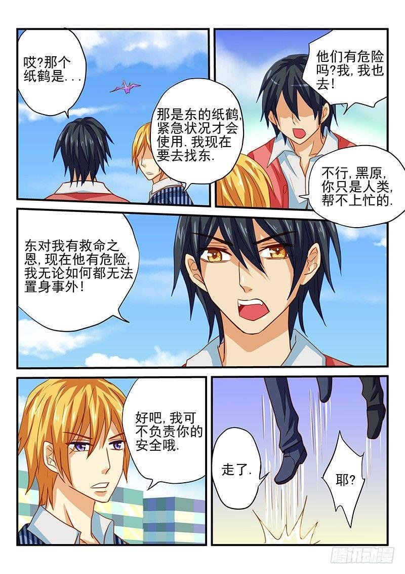 第52章 白狸的行动