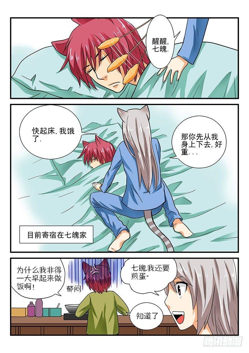 第7章 桃子的一天