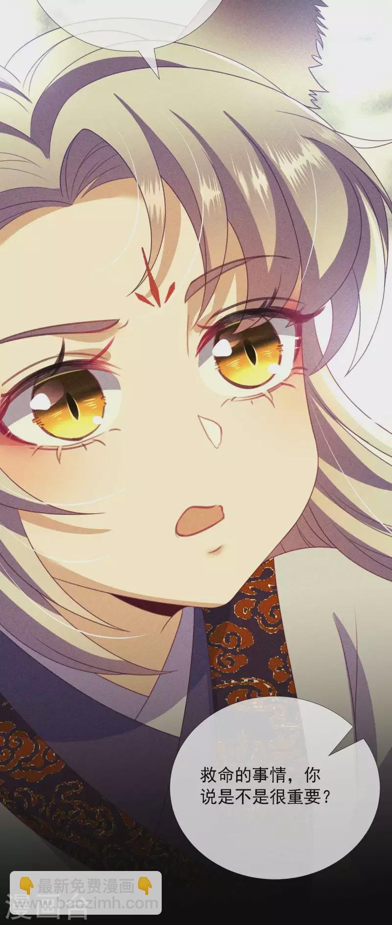 第11 话 师傅的私生子