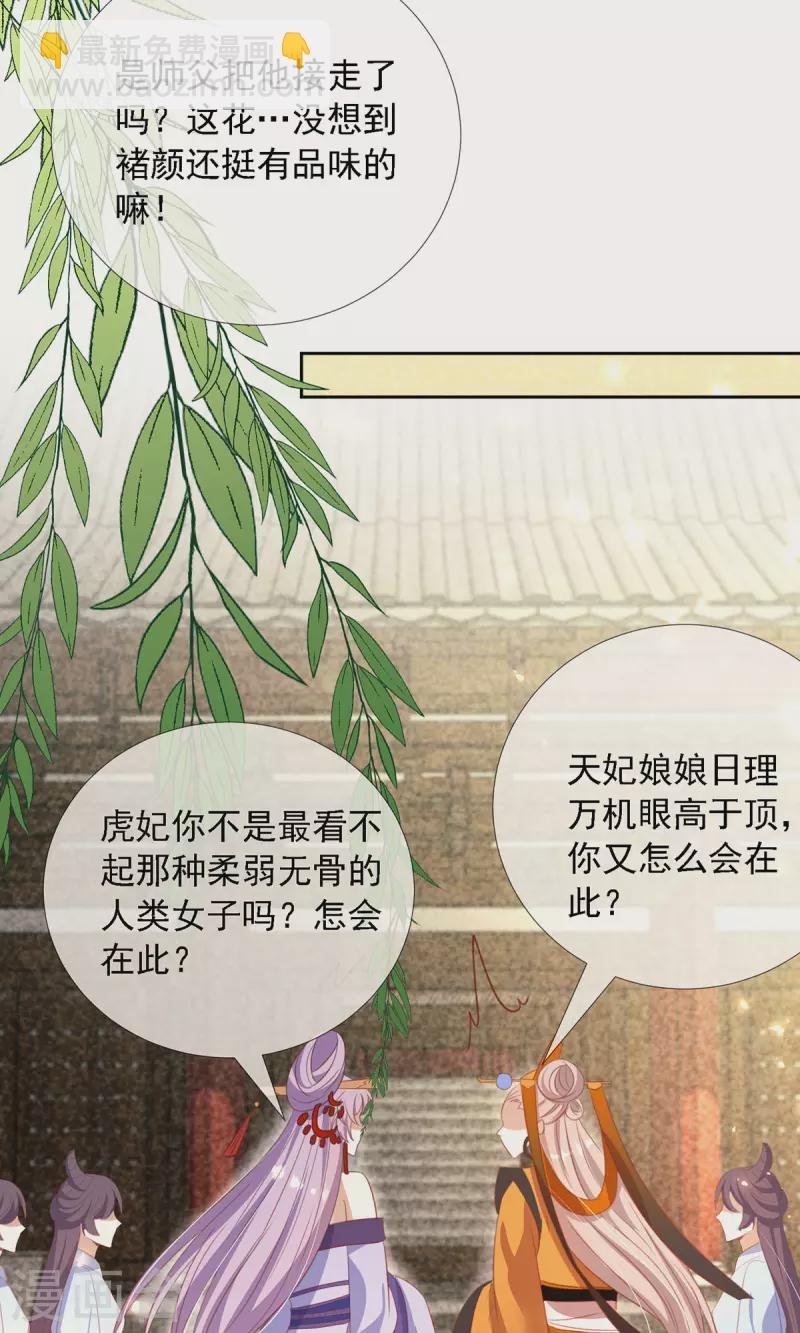 第12话 庆典要开始了？