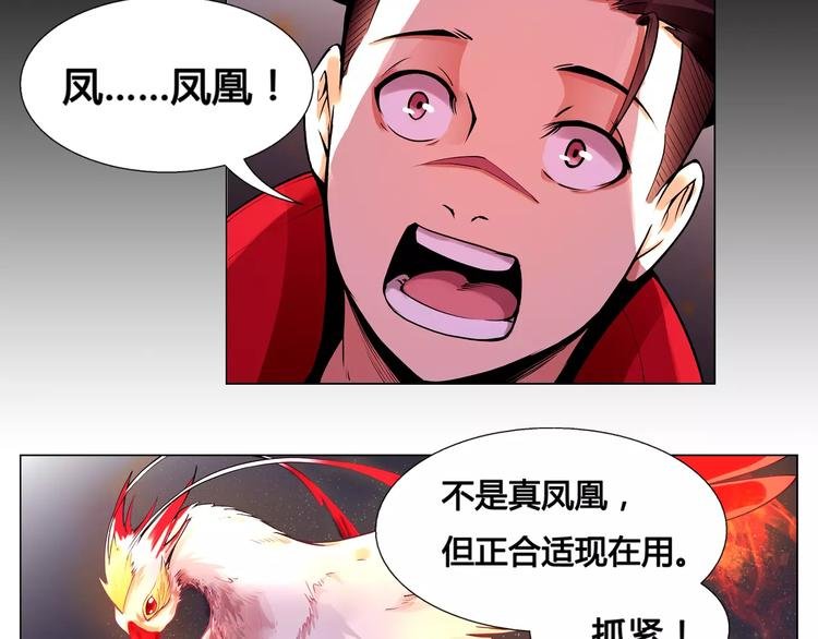 第8话 凤凰
