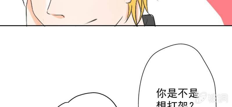 第19话 合理安排
