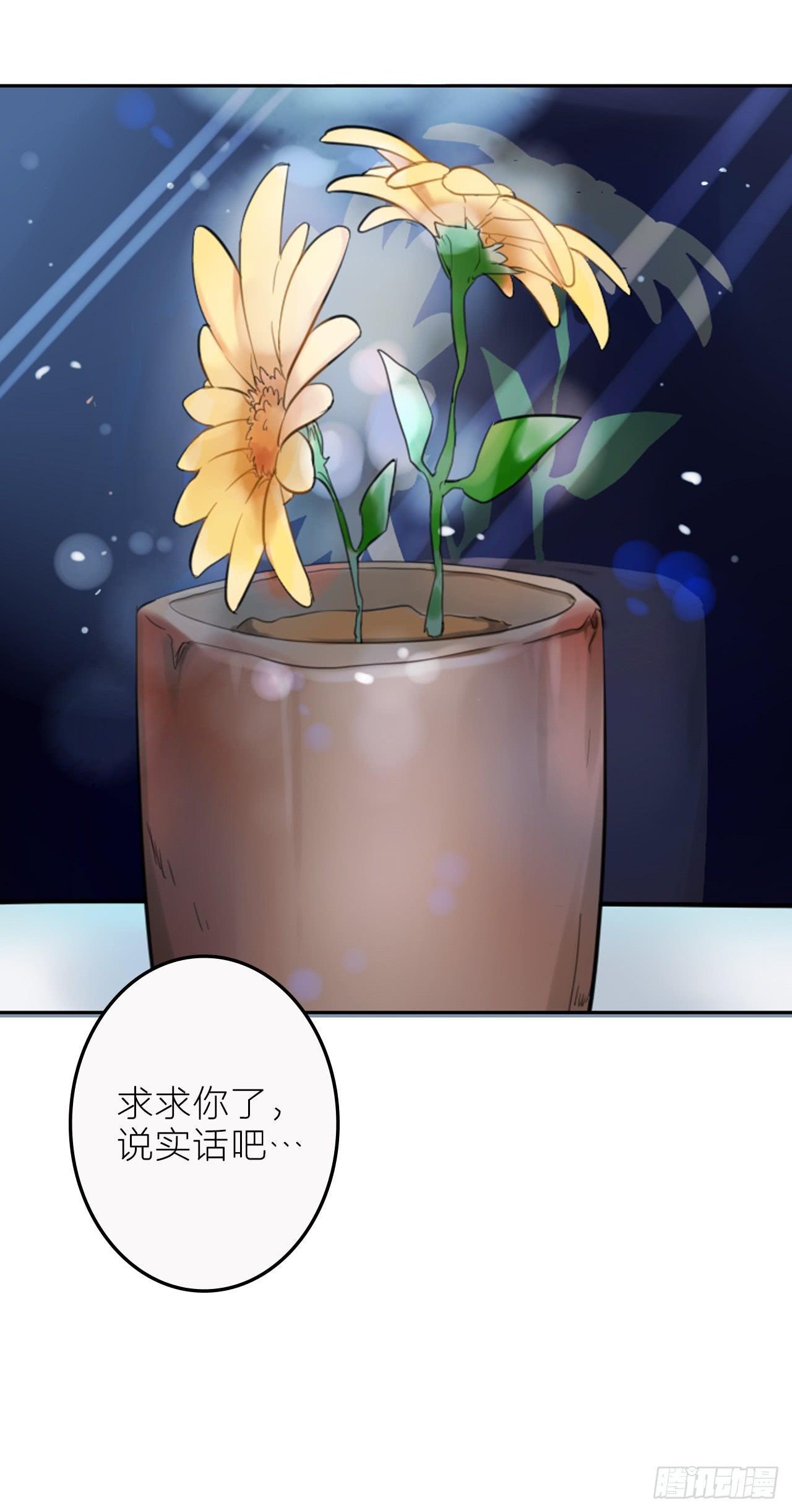 求收留！