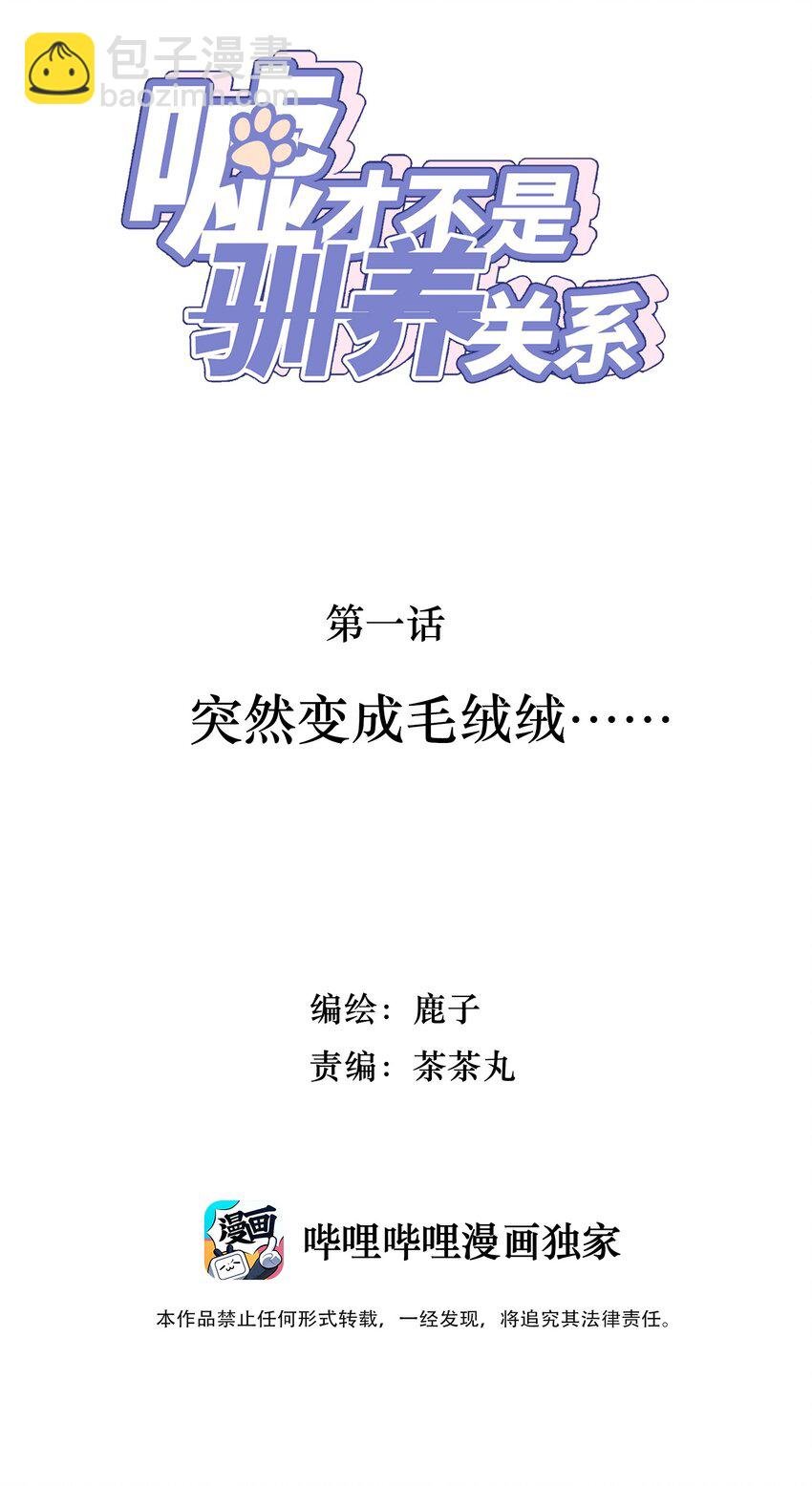 001 突然变成毛绒绒……