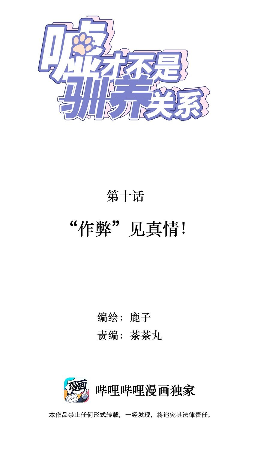 010 “作弊”见真情！