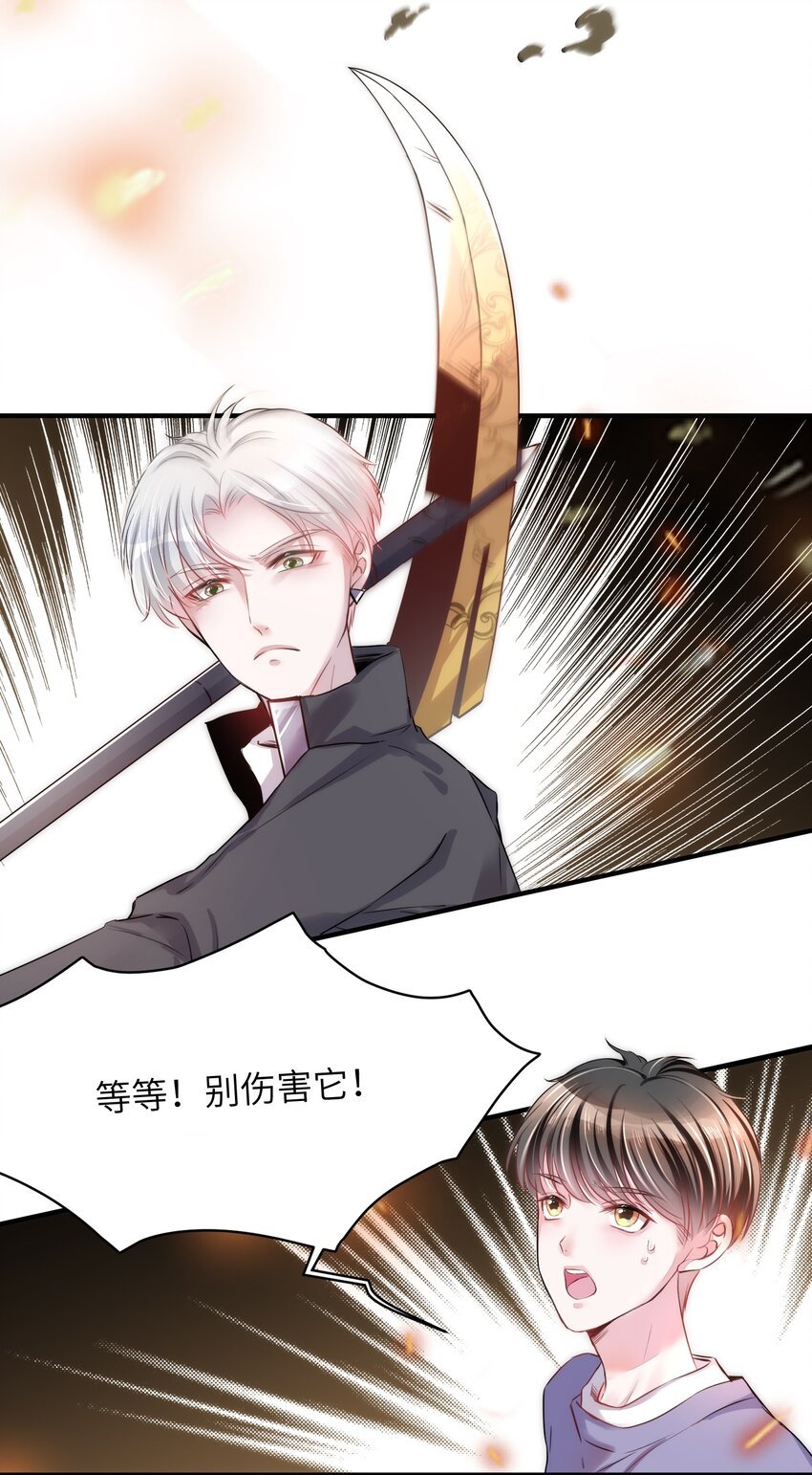 013 毁灭吧，虐猫人！