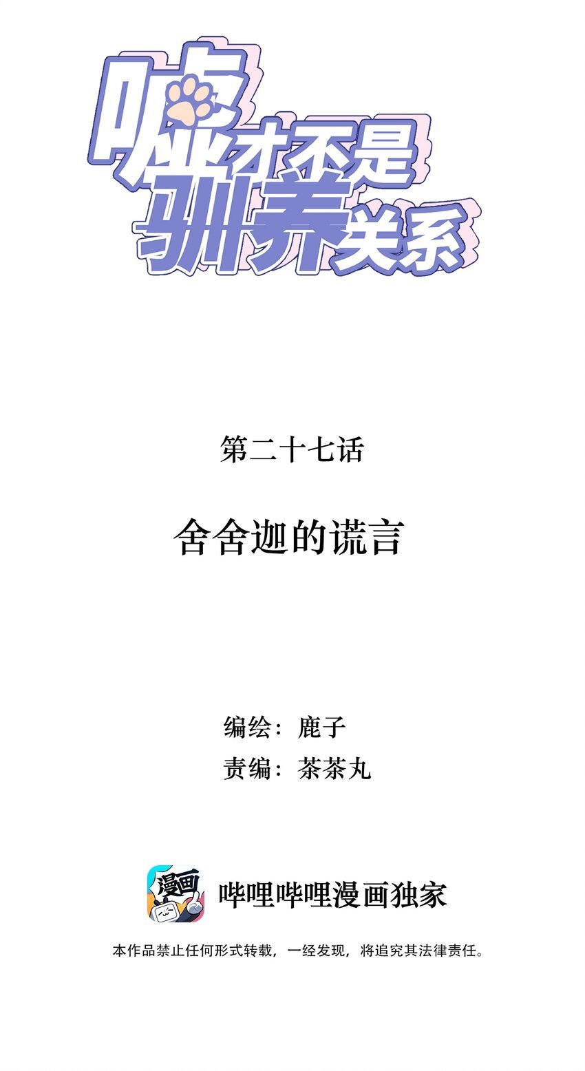 027 舍舍迦的谎言