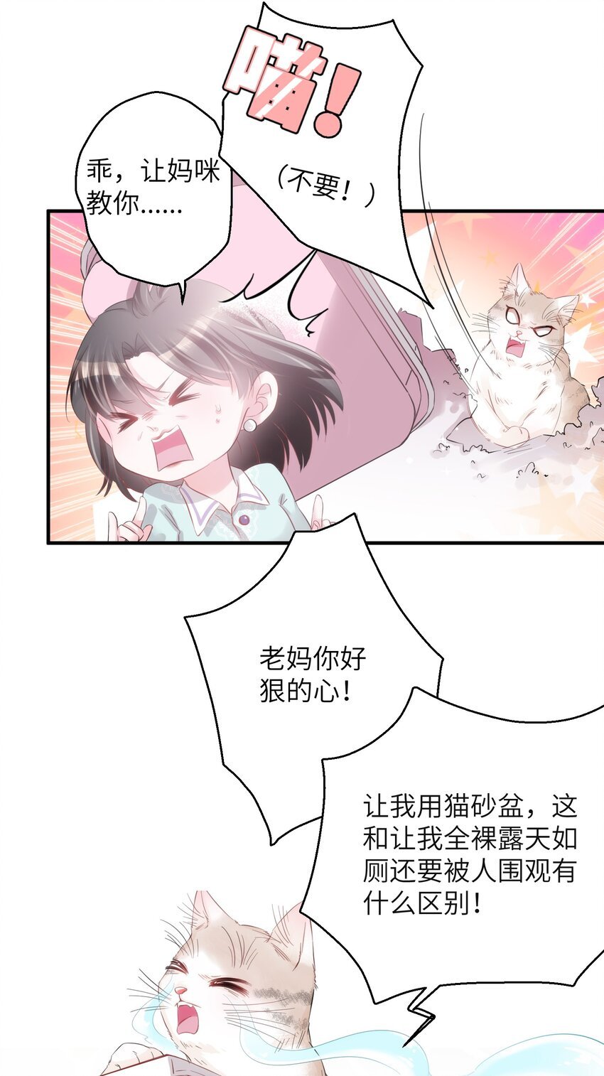 003 晏家的绝后危机？！