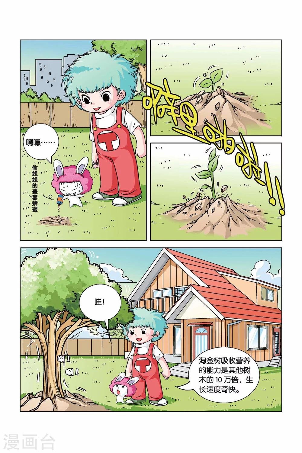 第13话 淘金树