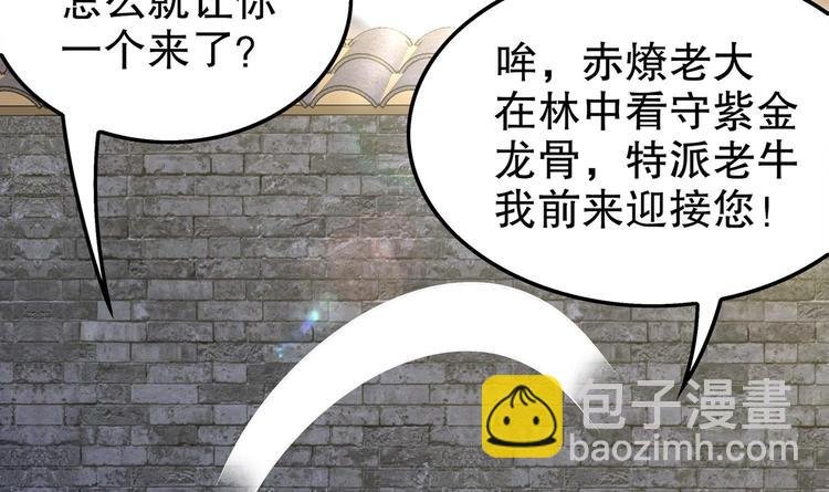 第29话 龙骨送到啦