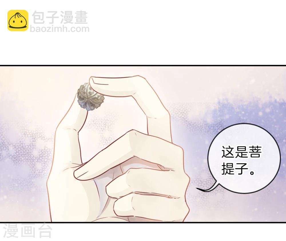 第137话 菩提子（二）