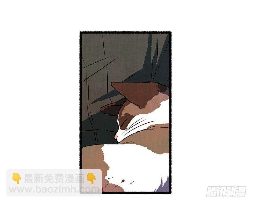 9.蕾拉