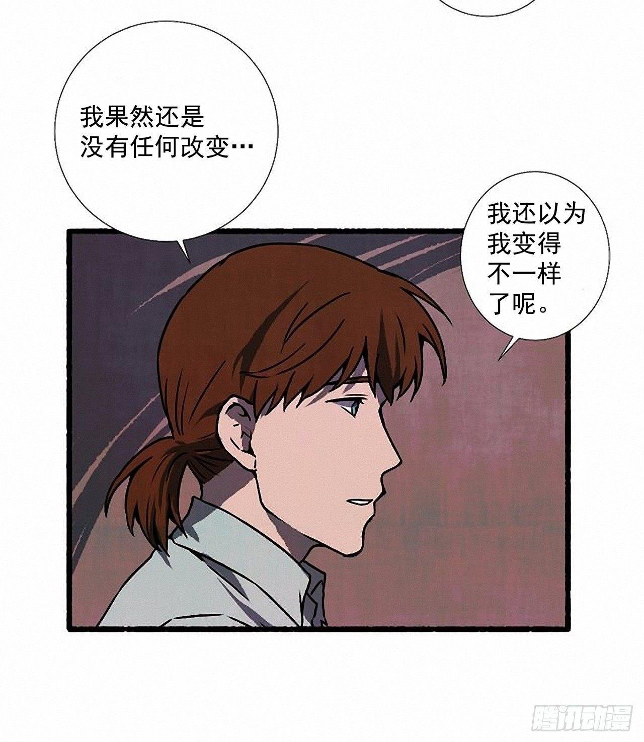 24.五只鹿标本
