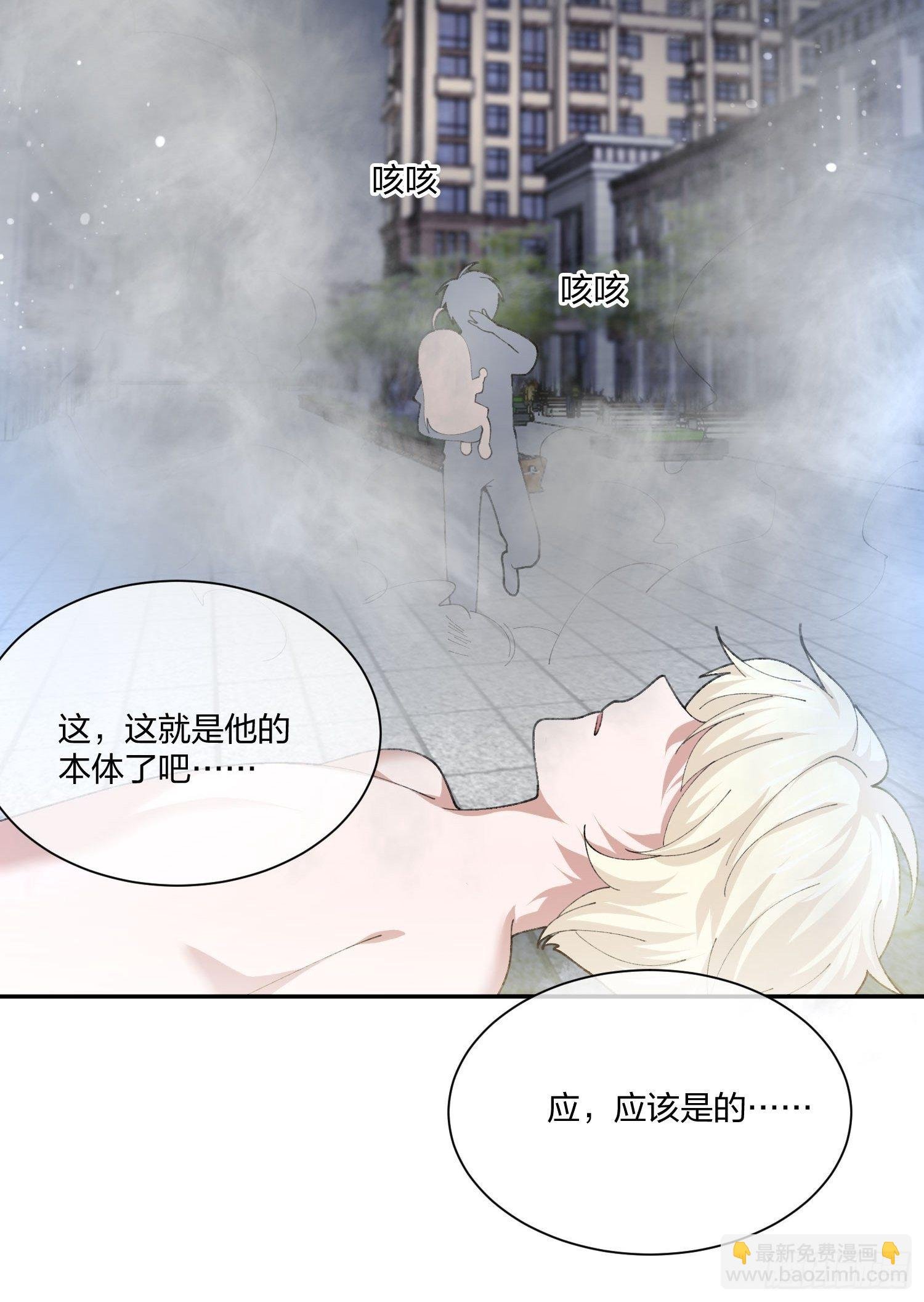 木偶的本体