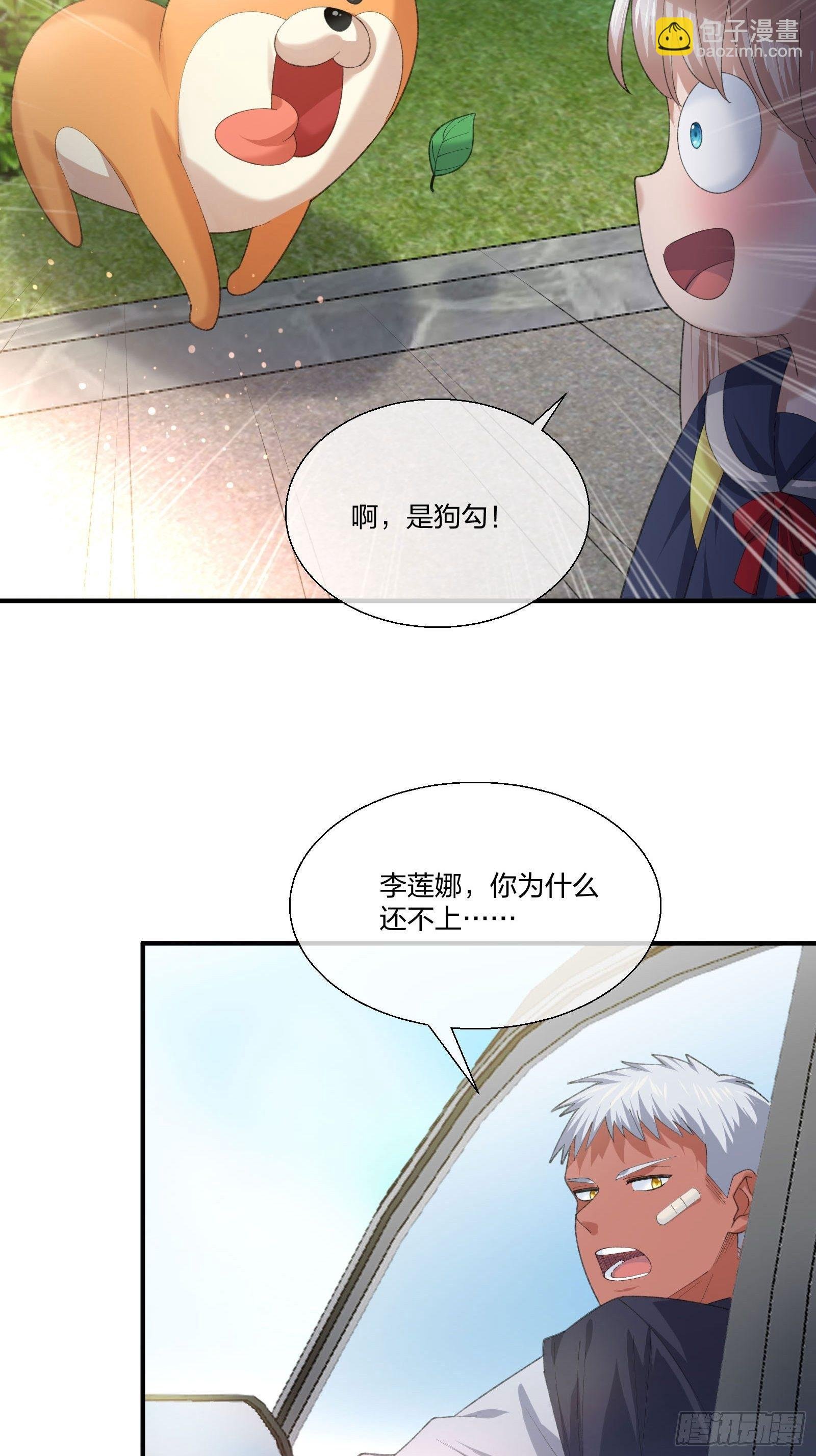 来路不明的野狗