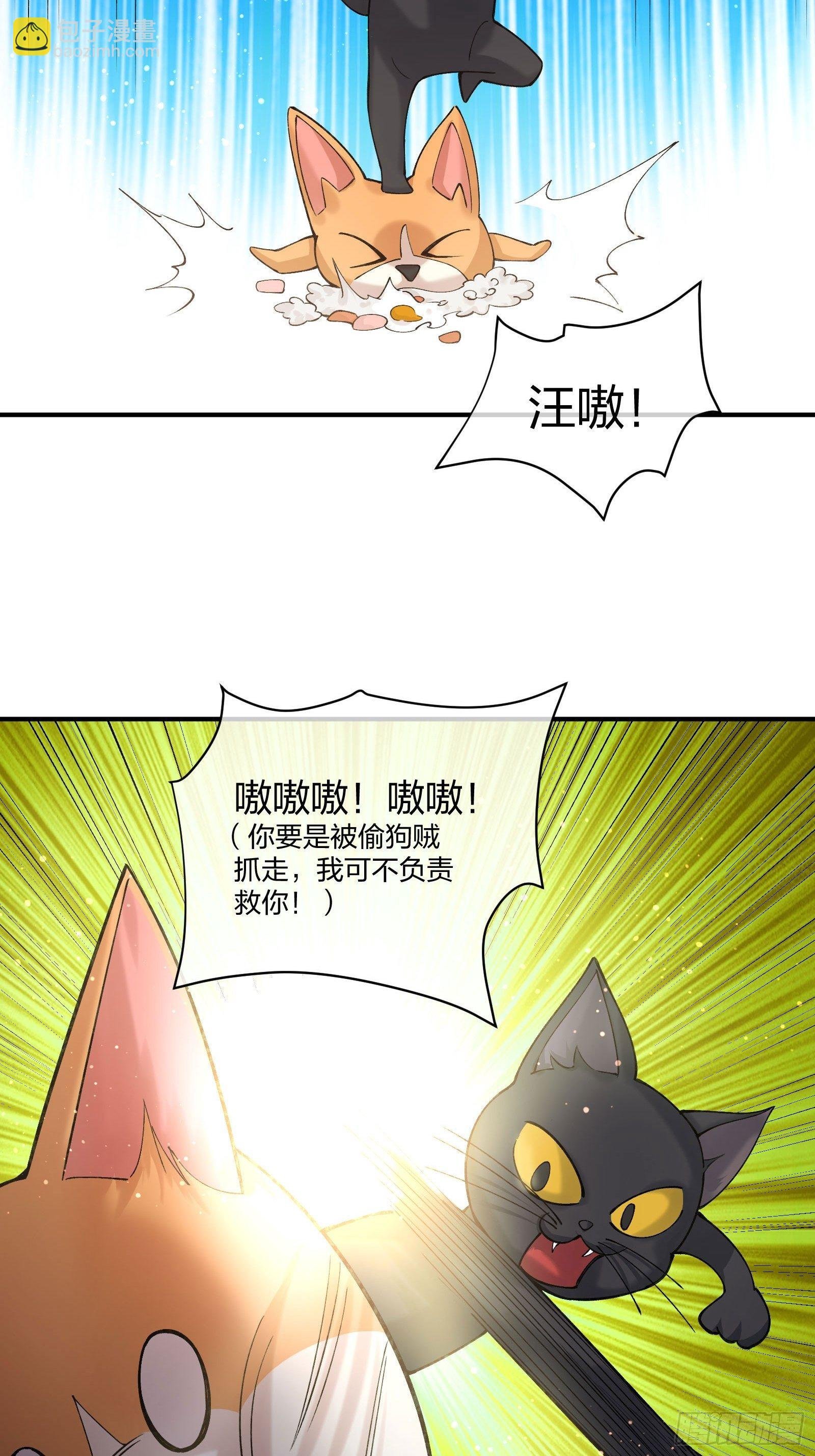来路不明的野狗