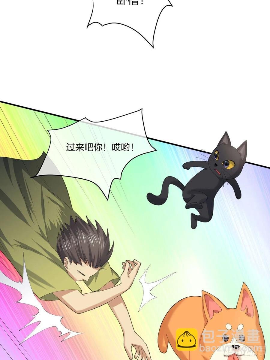 偷狗贼