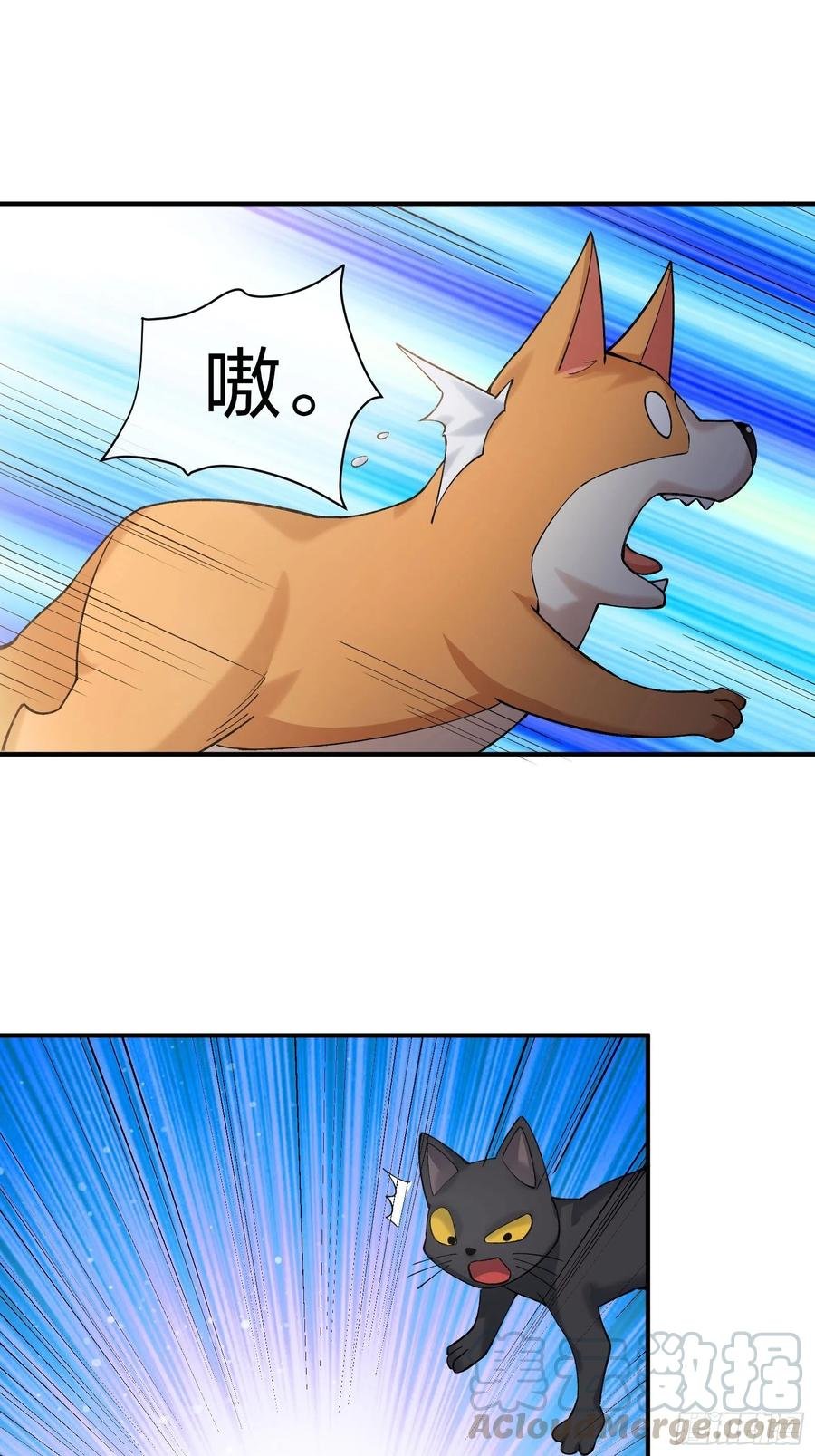 偷狗贼
