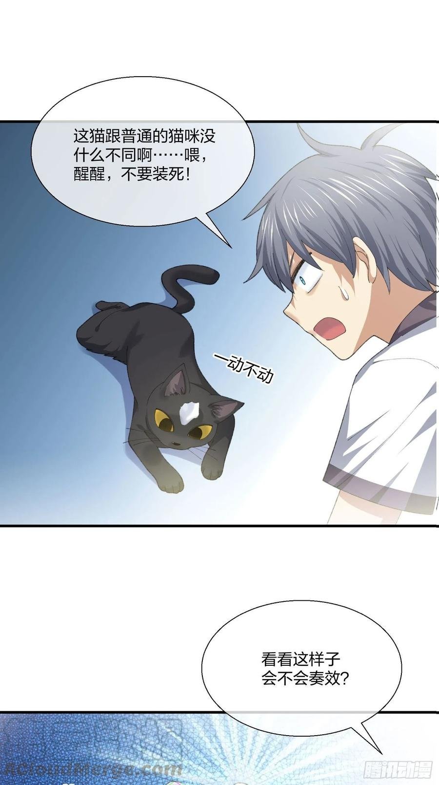 偷狗贼