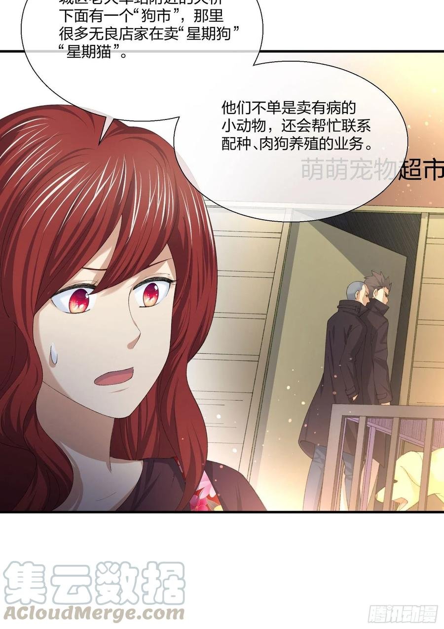 偷狗贼