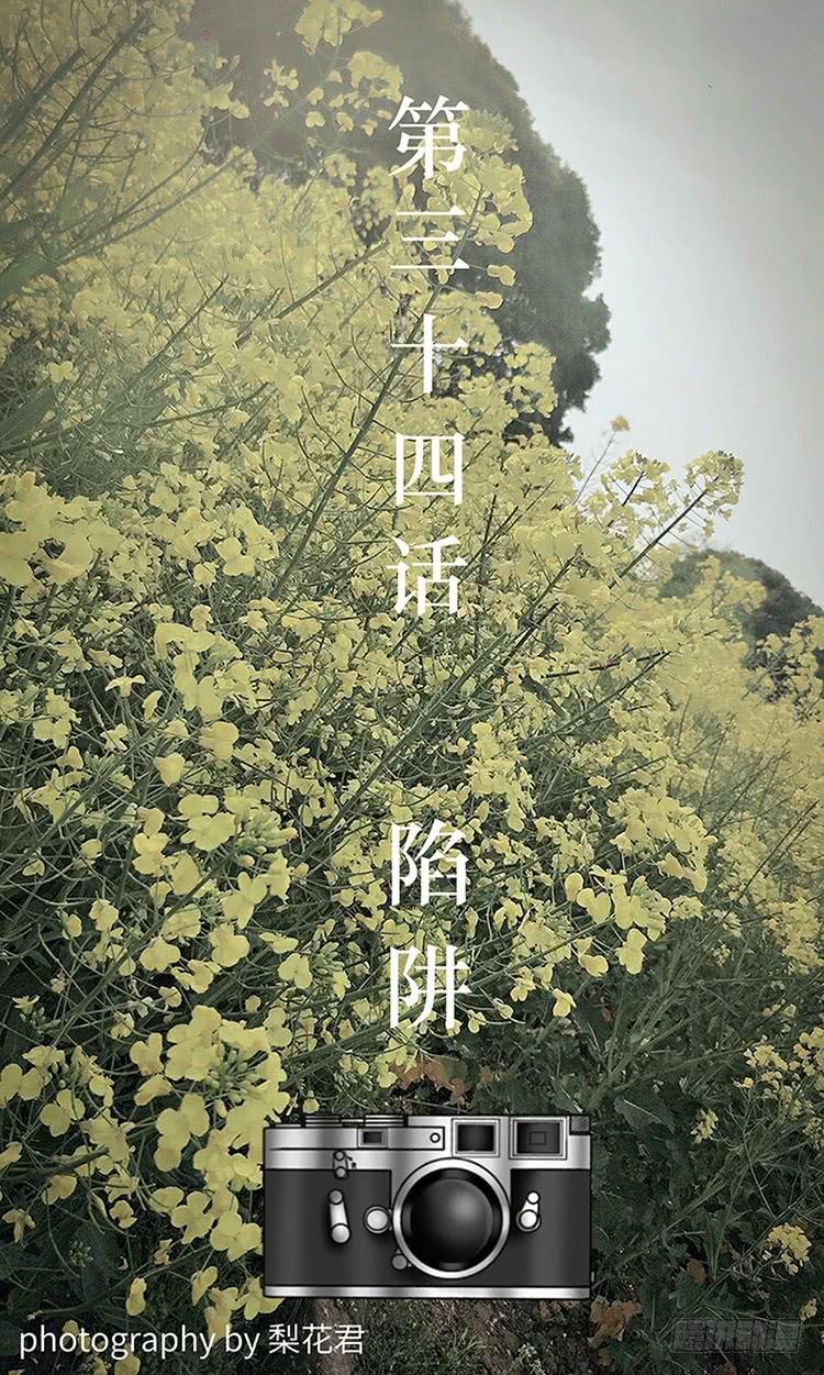 第三十四话 陷阱