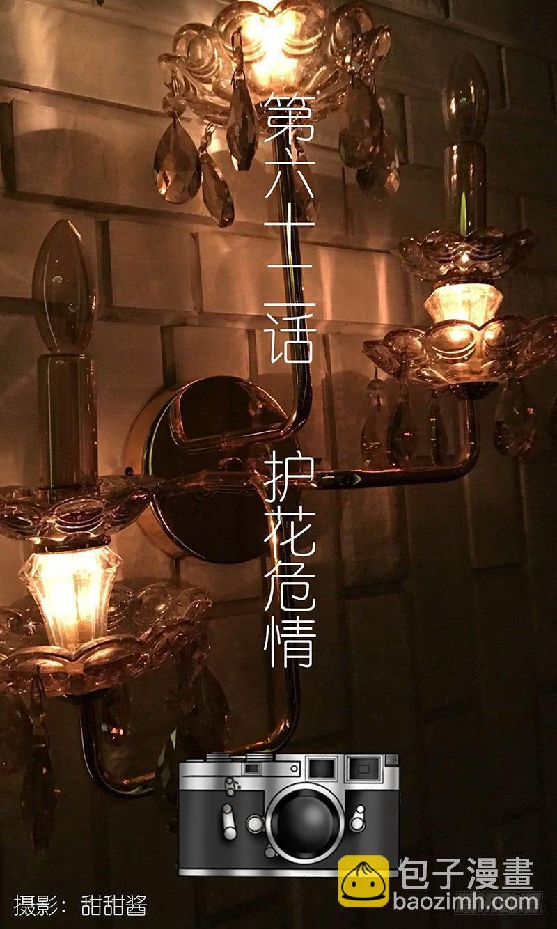 第六十二话 护花危情