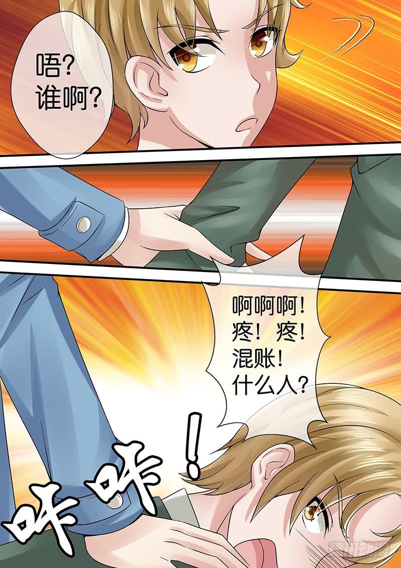 第七十八话 护花使者