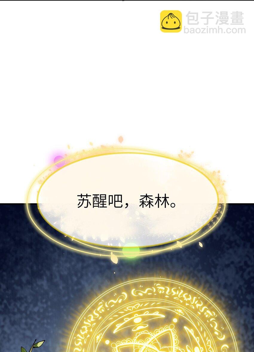 29 精灵森林之血宴